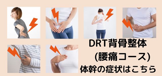 DRT腰背股関節コース