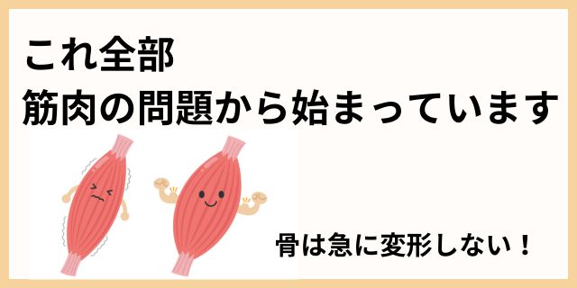 筋肉の問題